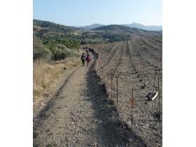 photo coins arrondis